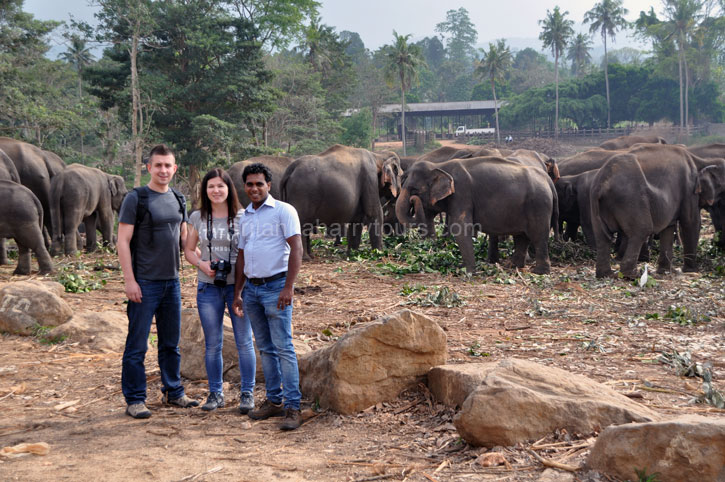 Tourist in Sri Lanka, Sri Lanka Harrry Tours, Personal Tour Guide in Sri Lanka, Holidays in Sri Lanka