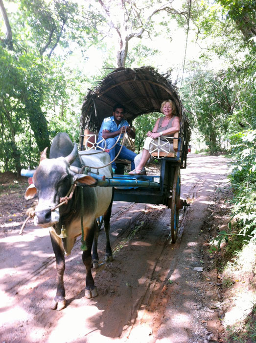 Tourist in Sri Lanka, Sri Lanka Harrry Tours, Personal Tour Guide in Sri Lanka, Holidays in Sri Lanka