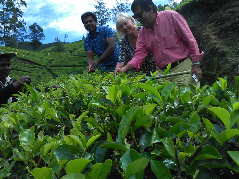 Tourist in Sri Lanka, Sri Lanka Harrry Tours, Personal Tour Guide in Sri Lanka, Holidays in Sri Lanka