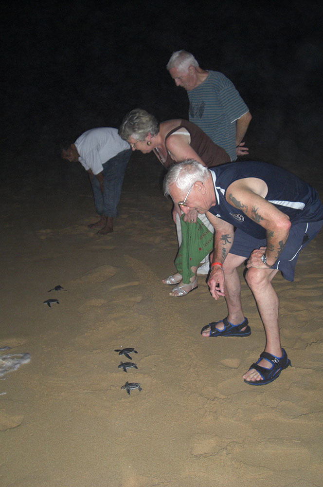 Tourist in Sri Lanka, Sri Lanka Harrry Tours, Personal Tour Guide in Sri Lanka, Holidays in Sri Lanka