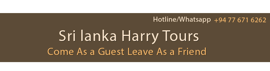 Sri Lanka Harrry Tours, Personal Tour Guide in Sri Lanka, Holidays in Sri Lanka
